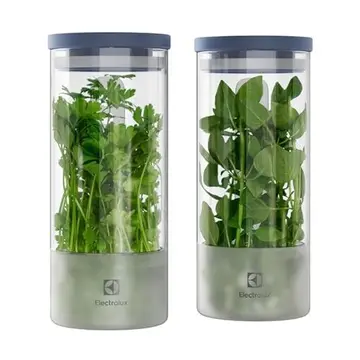 Electrolux Kit 2 Potes Herméticos de Vidro para Temperos Frescos e Hortaliças