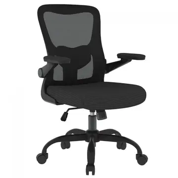 Cadeira de Escritório FlexiSpot OCB1-Lite, Ajustável, 3D, Mesh, Preta