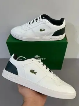 calçados lacoste t-base original