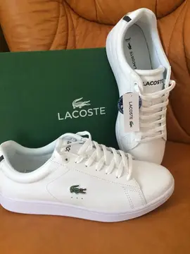 tenis lacoste t-base