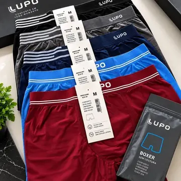 Kit 6 Cuecas Lupo Boxer Box Sem Costura Basic Microfibra P ao GG