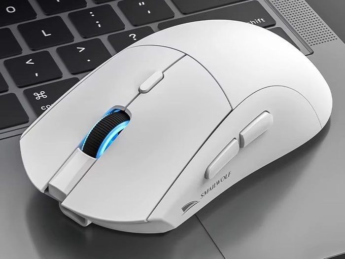 2x Mouse Smailwolf RS7 PAW3311
