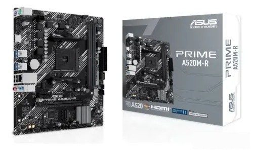 Placa Mãe ASUS A520M