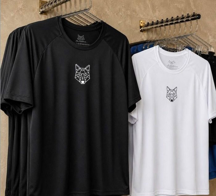 Kit 2 Camisetas Masculina Dry Alpha