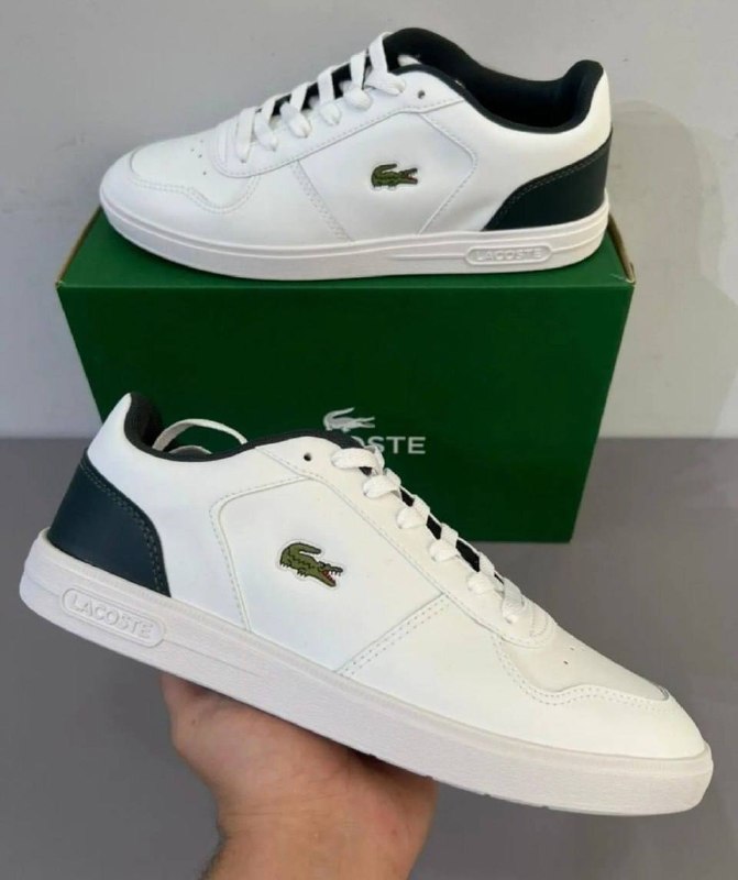 calçados lacoste t-base