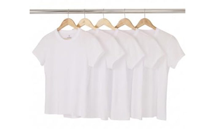 Kit 5 Camisetas Hering Básicas Femininas