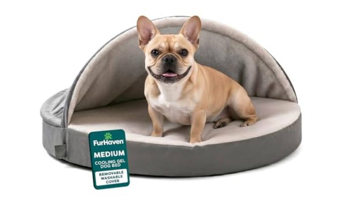 cama para cães furhaven redonda espuma gel refrescante sherpa camurça 66cm