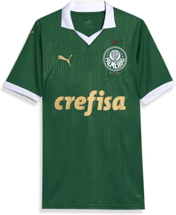 Camisa Palmeiras 1 HOME Torcedor 24/25