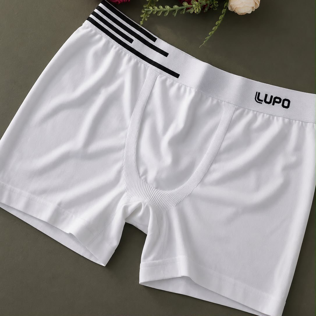 roupas lupo kit 4 cuecas boxer poliamida box sem costura