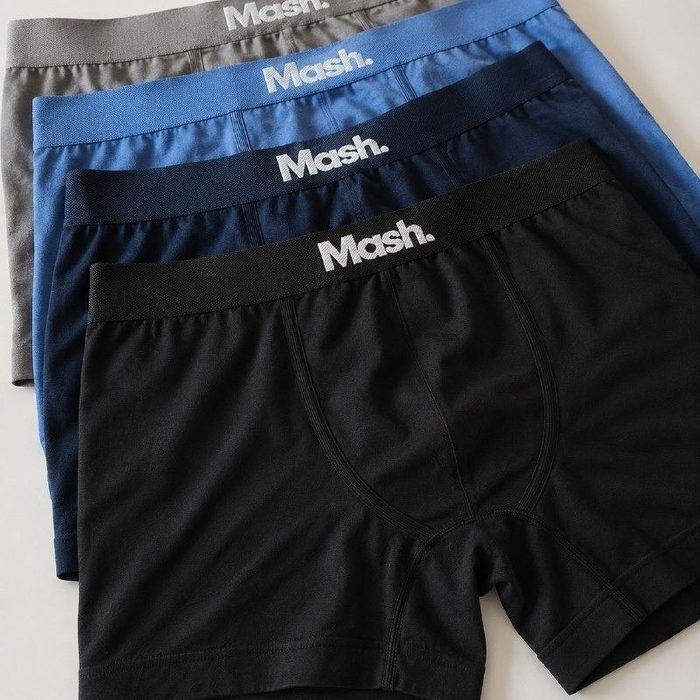 roupas kit cuecas boxer microfibra mash box sem costura 4 unidades