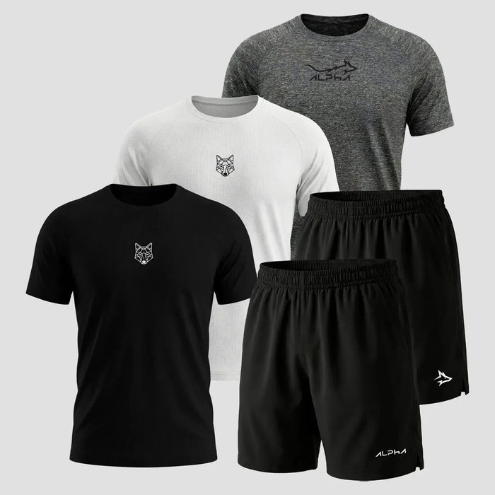 🛒 Kit 5 Peças Dry 3 Camisetas E 2 Bermudas Alpha