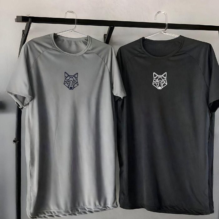 Kit 2 Camisetas Masculina Dry Alpha