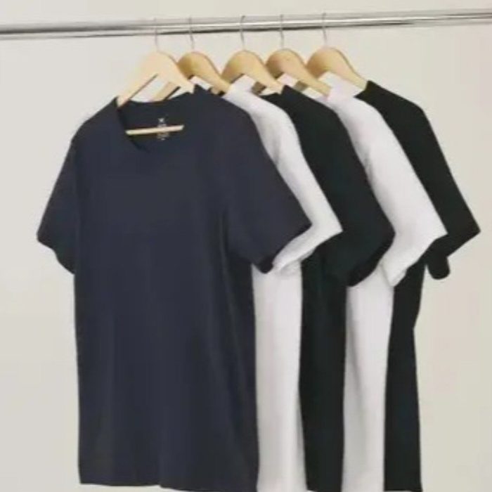 Kit 5 Camisetas Hering Masculina Basica Original Algodão