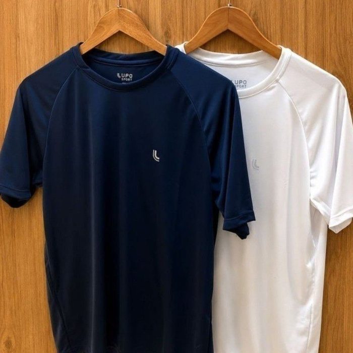Kit 2 Camiseta Dry Masculina Fit Lupo Básica Academia