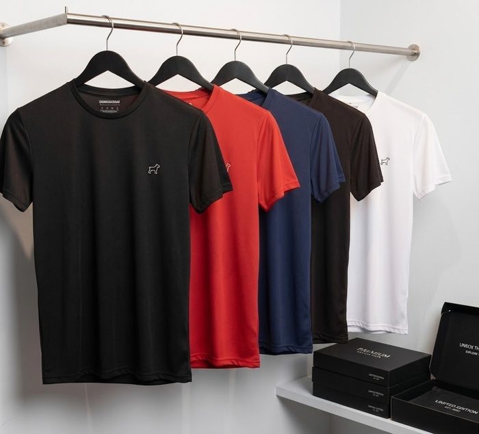 Kit 4 Camiseta Dry Fit Parvori Masculina Academia Corrida Preto/chumbo/cinza/marinho P ao GG