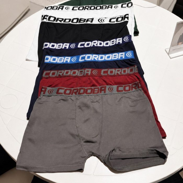 Kit 6 Cuecas Masculinas Boxer Variadas Alta Qualidade P ao GG