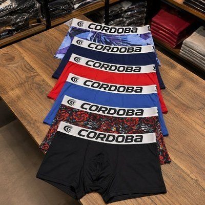 Kit 6 Cuecas Masculinas Boxer Variadas Alta Qualidade Aaa P ao GG