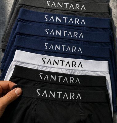 Kit Com 10 Cuecas Boxer Microfibra Sem Costura Santara Sortidas
