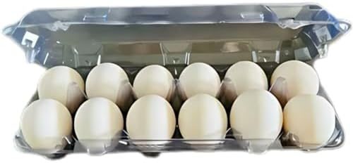 Embalagem Para 12 Ovos De Galinha Cartela Caixa P/Ovos 25 unidades
